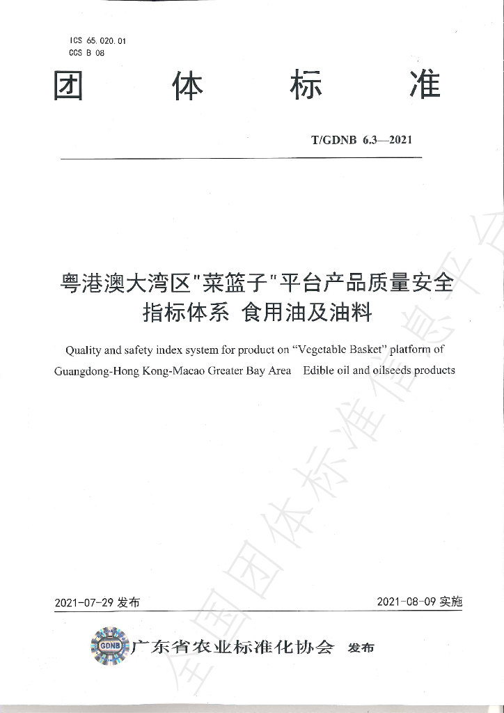 T/GDNB 6.3-2021 标准预览