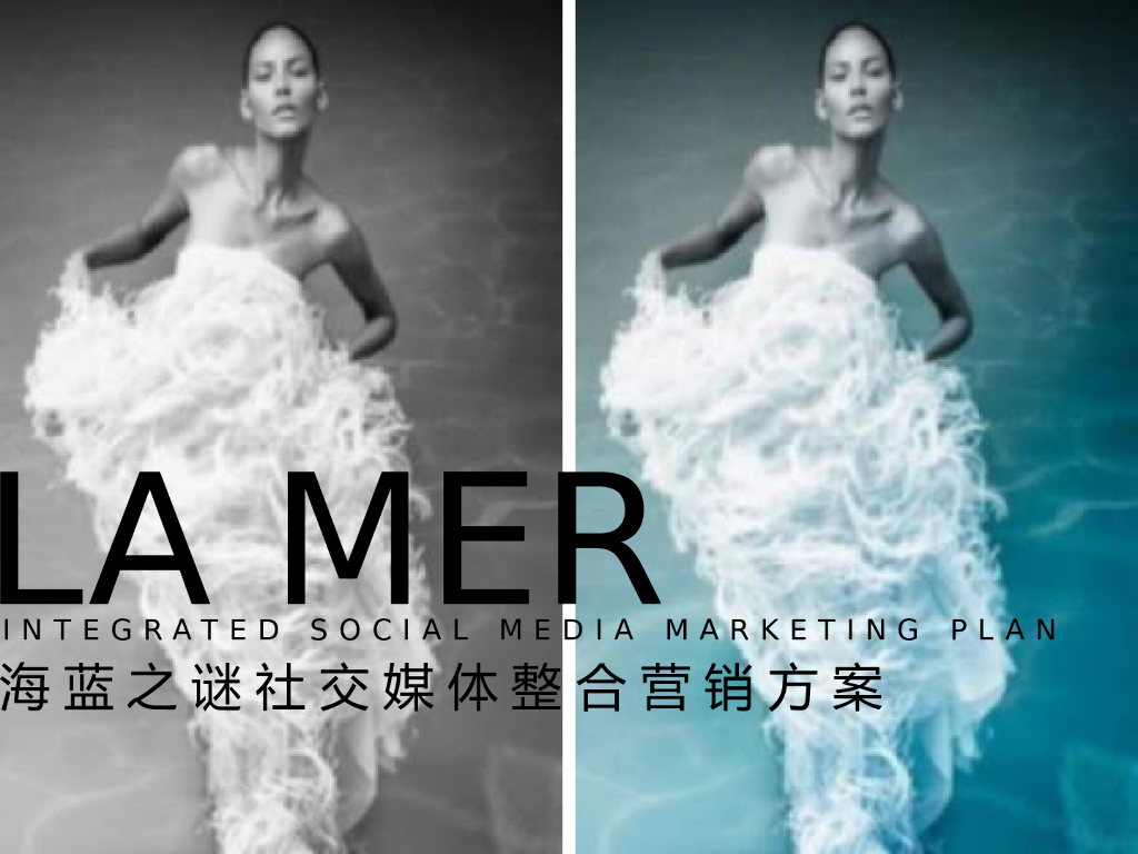 海蓝之谜社交媒体营销方案