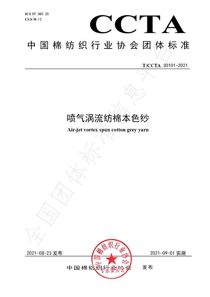 T/CCTA 30101-2021 标准预览