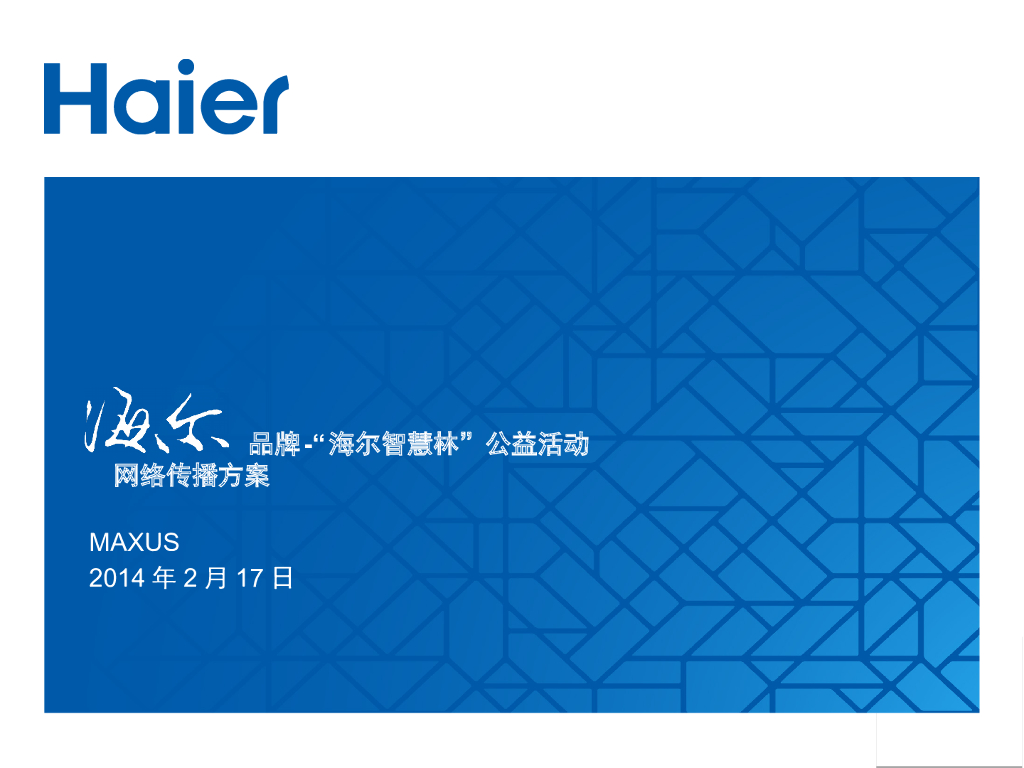 2014海尔品牌-海尔智慧林网络传播方案