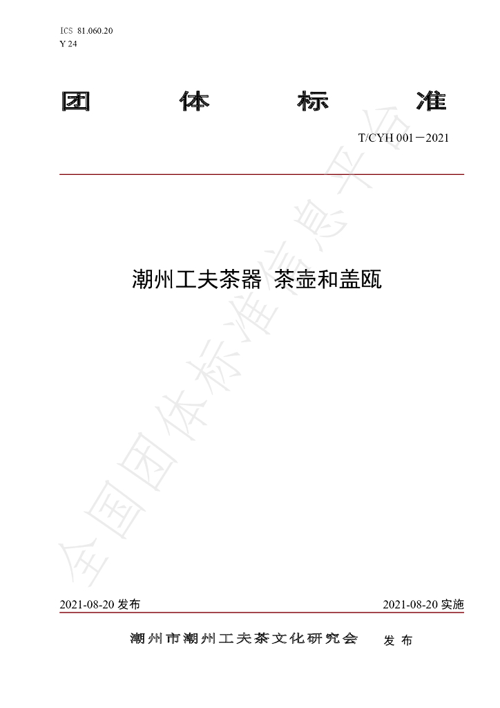 T/CYH 001-2021 标准预览