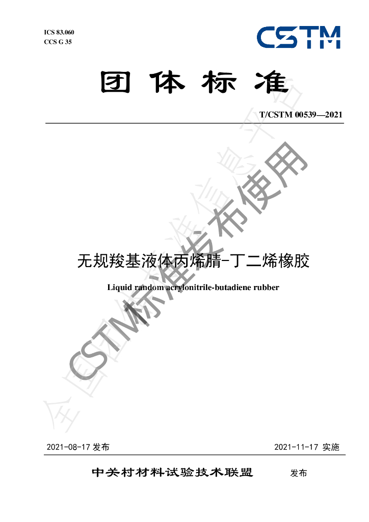 T/CSTM 00539-2021 标准预览