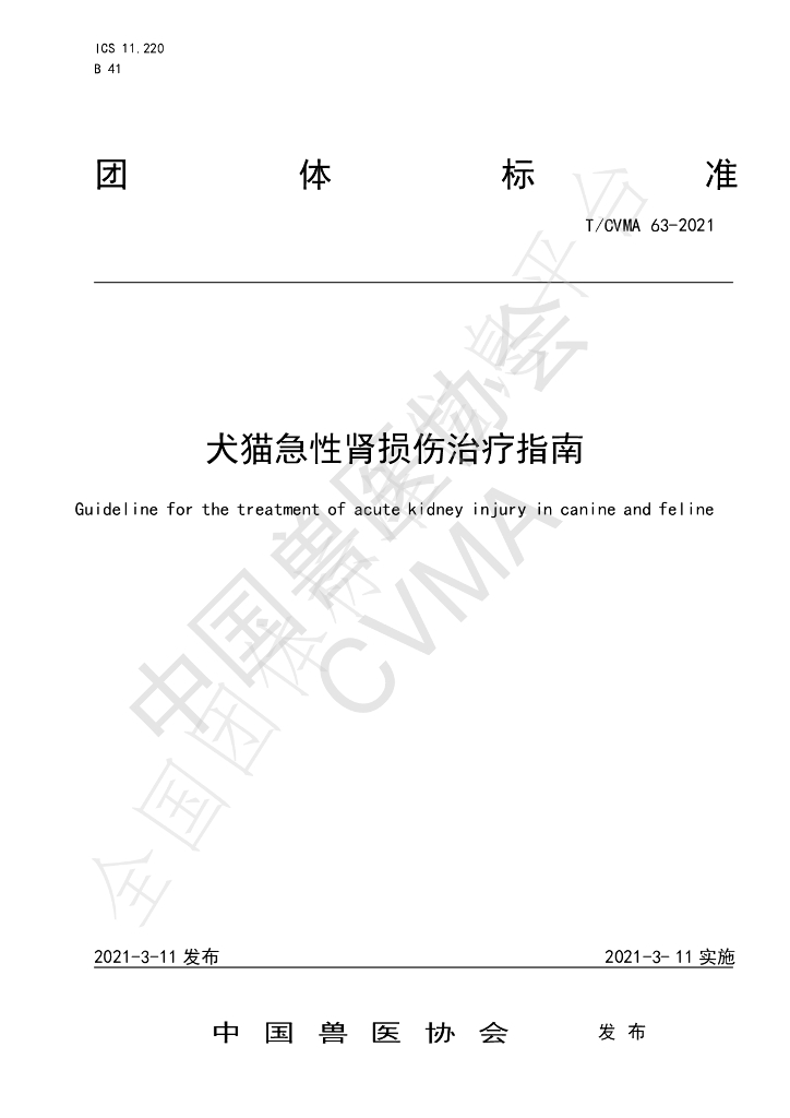 T/CVMA 63-2021 标准预览