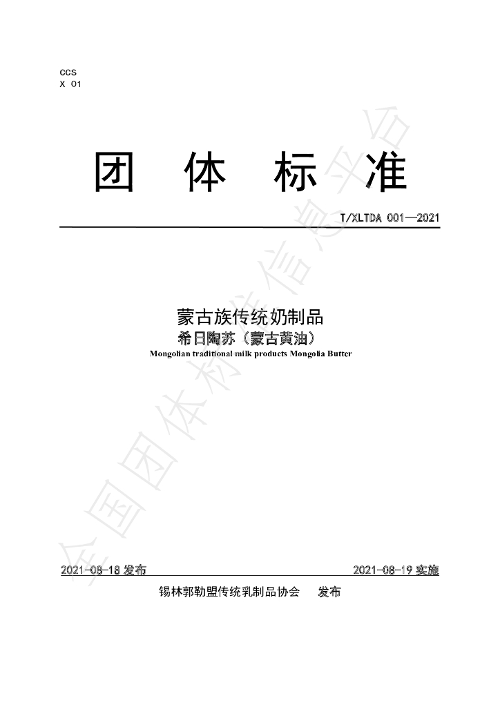 T/XLTDA 001-2021 标准预览