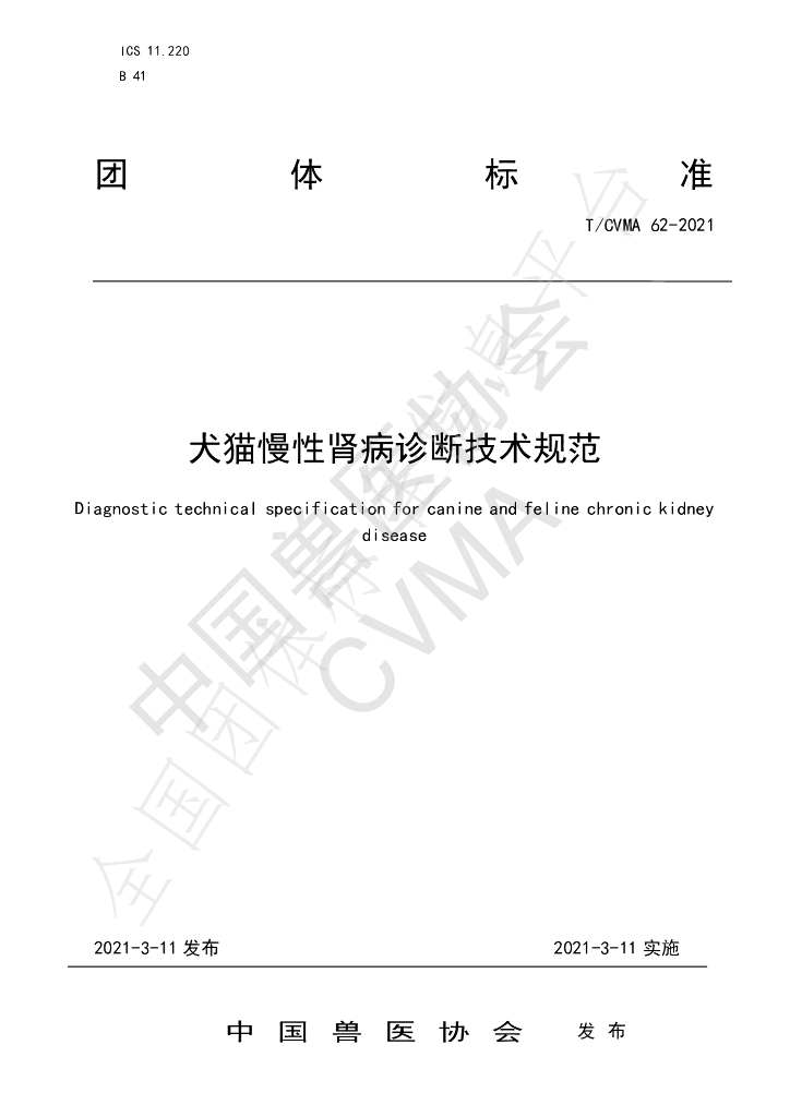 T/CVMA 62-2021 标准预览