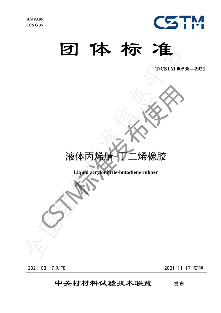 T/CSTM 00538-2021 标准预览