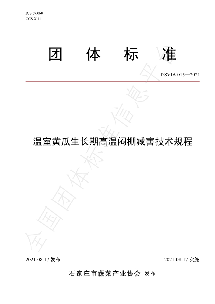 T/SVIA 015-2021 标准预览
