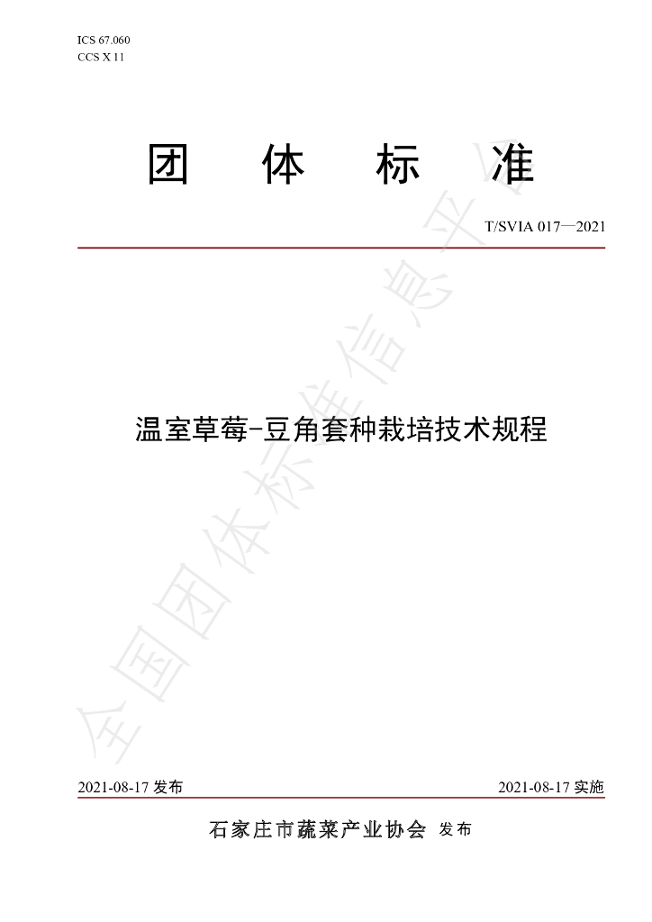 T/SVIA 017-2021 标准预览