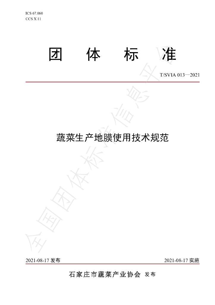 T/SVIA 013-2021 标准预览