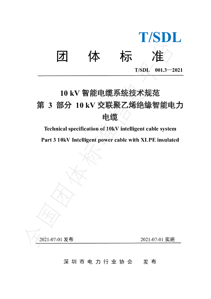 T/SDL 001.3-2021 标准预览
