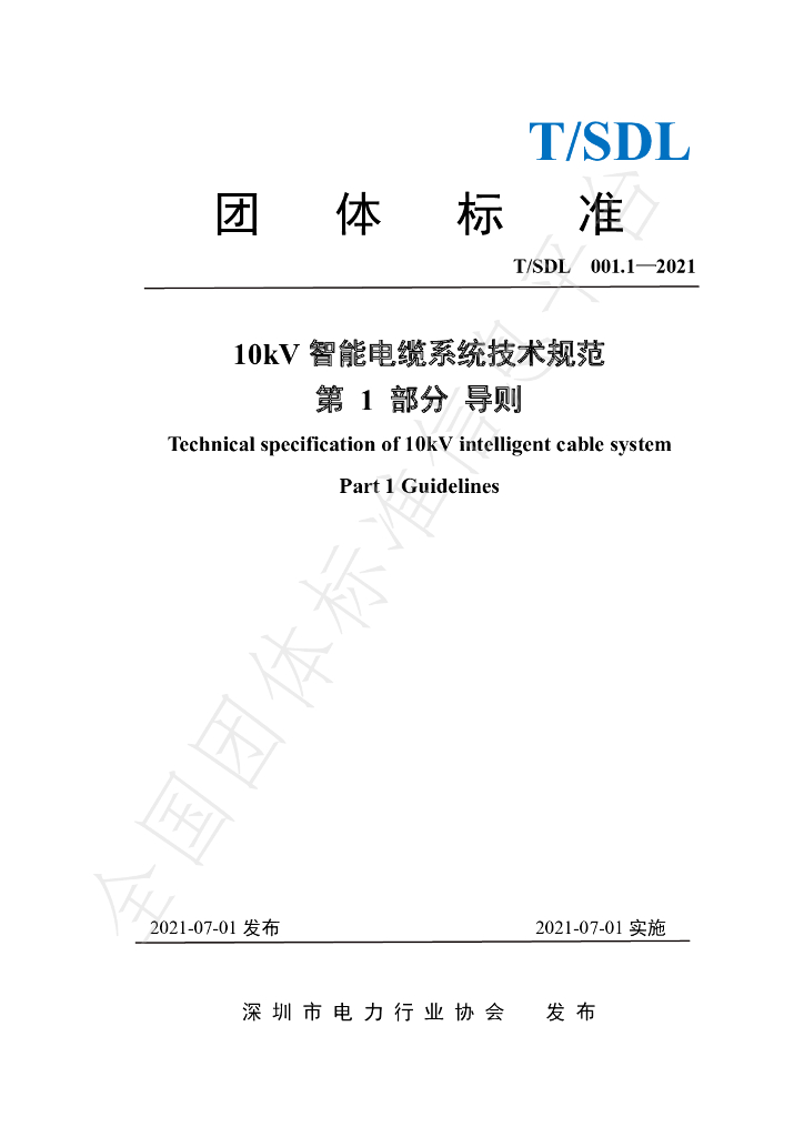 T/SDL 001.1-2021 标准预览