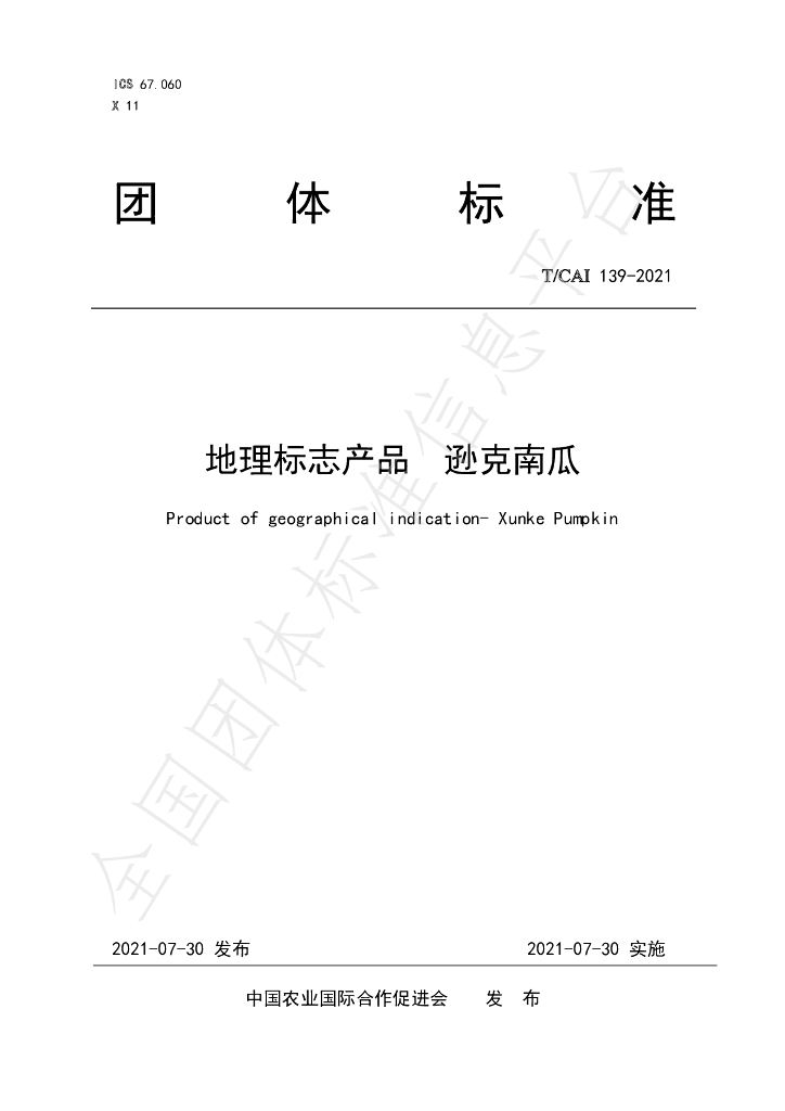 T/CAI 139-2021 标准预览