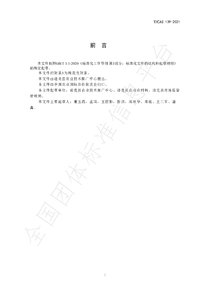 T/CAI 139-2021 标准预览
