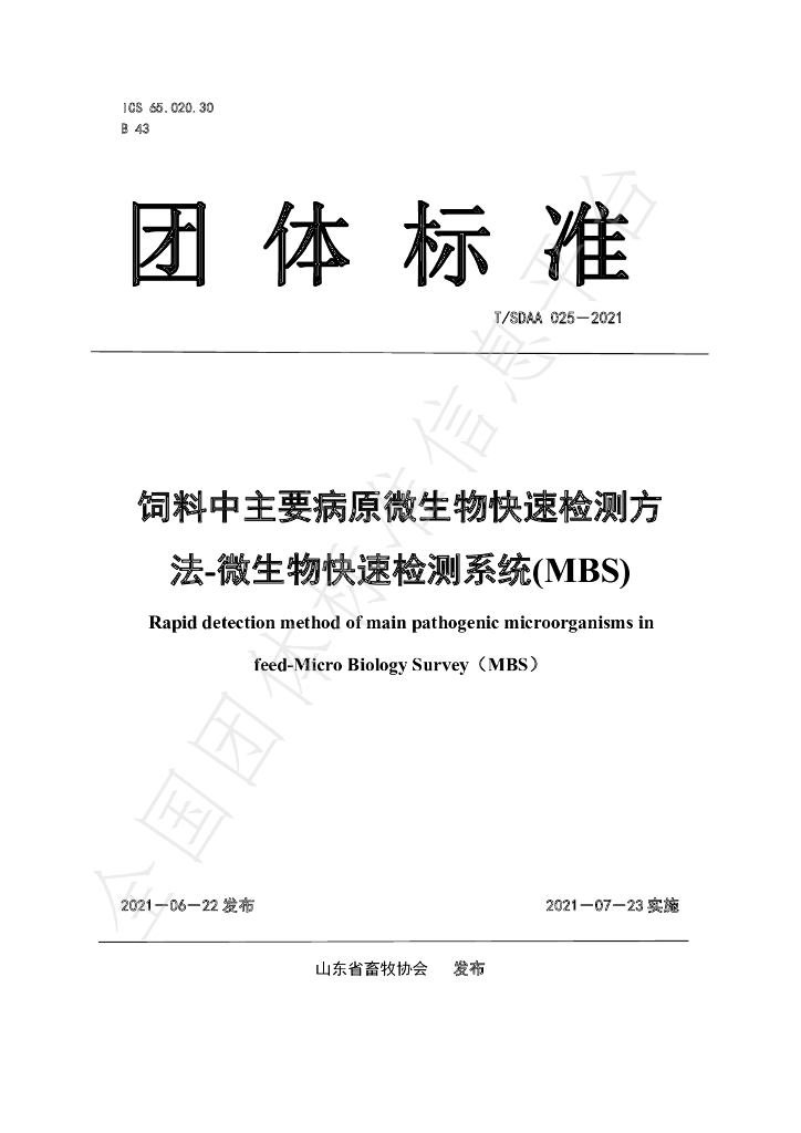 T/SDAA 025-2021 标准预览