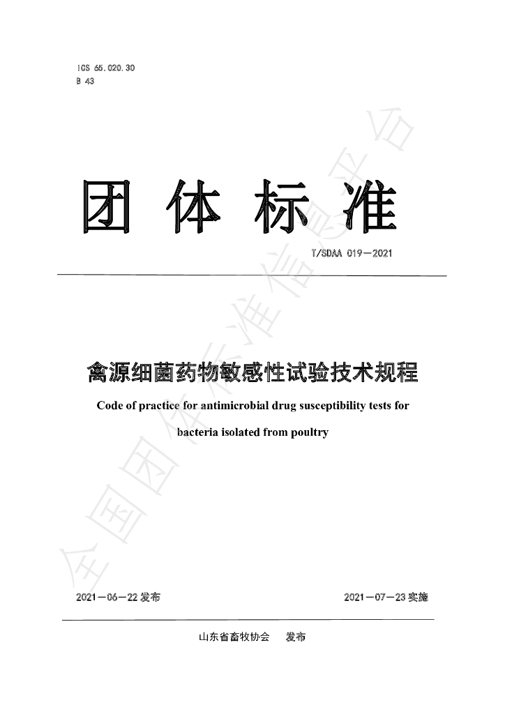 T/SDAA 019-2021 标准预览