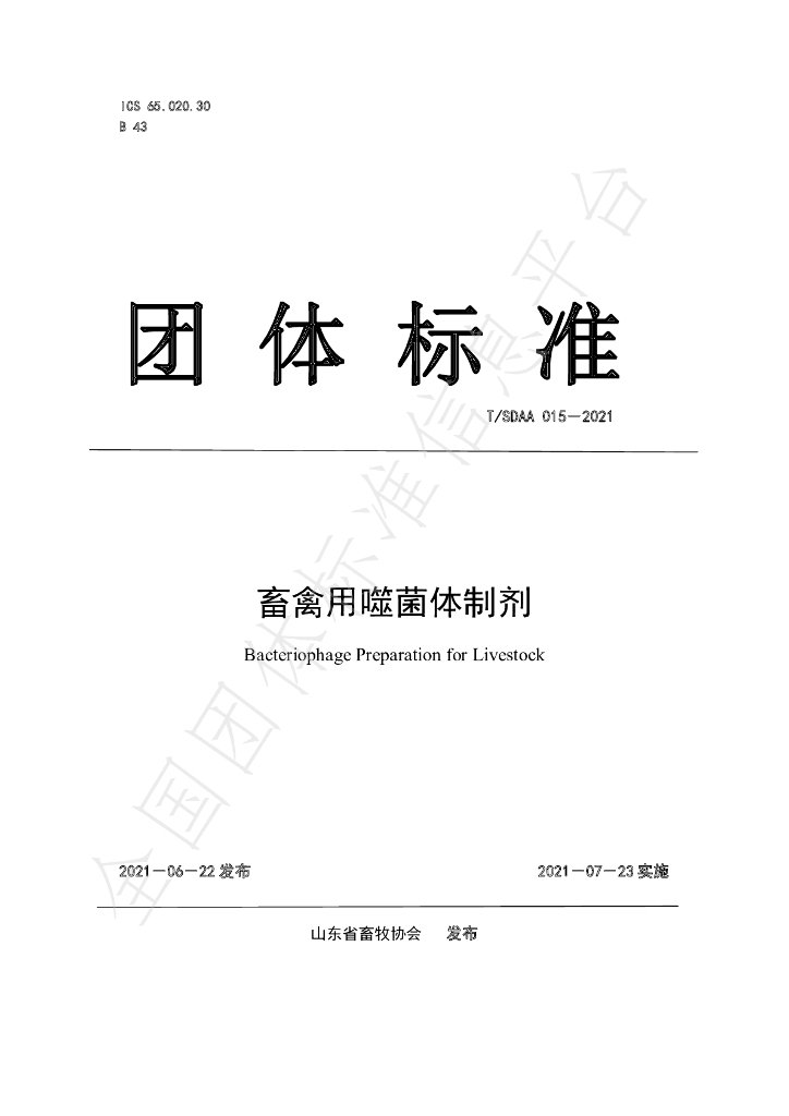 T/SDAA 015-2021 标准预览