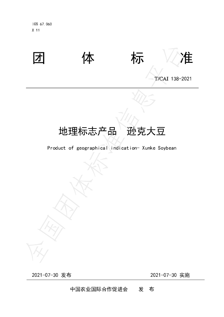 T/CAI 138-2021 标准预览