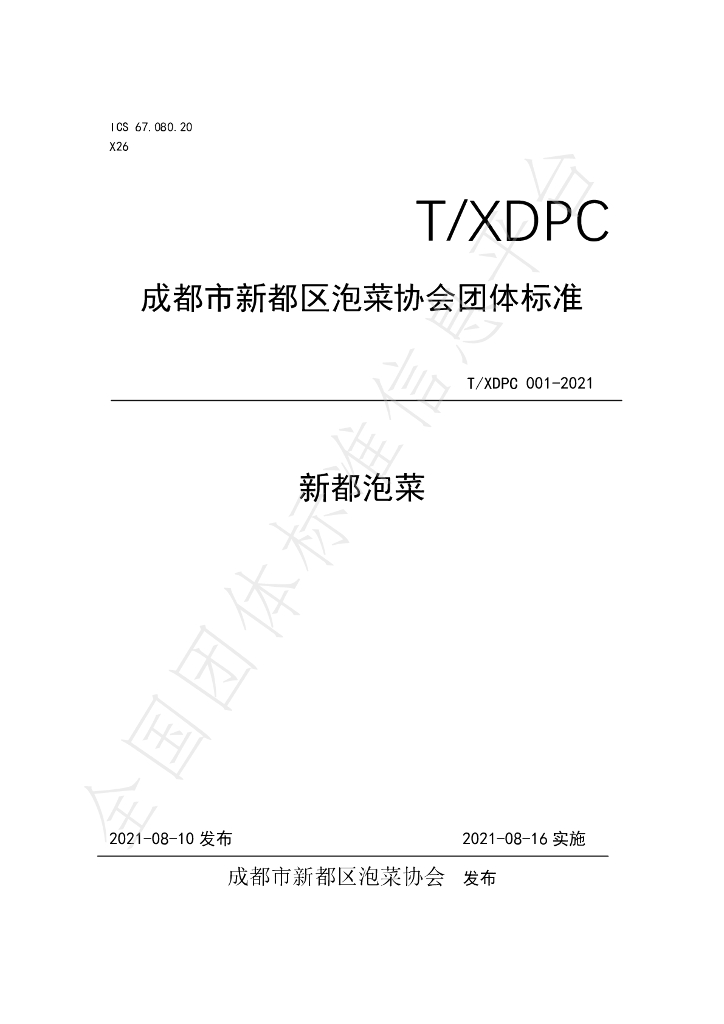 T/XDPC 001-2021 标准预览