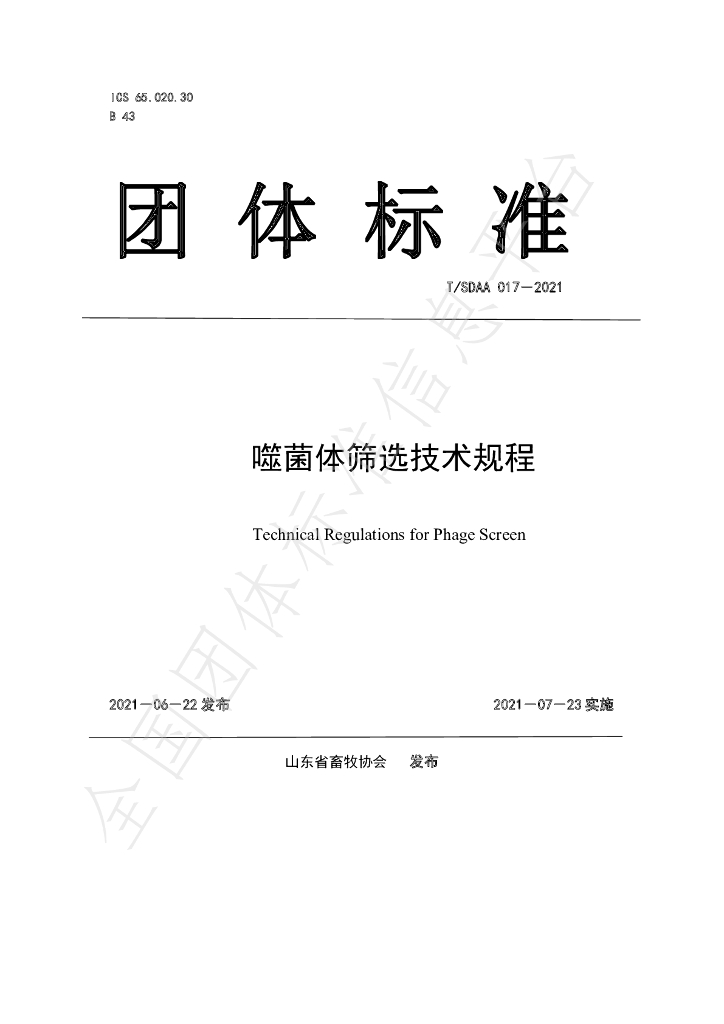 T/SDAA 017-2021 标准预览