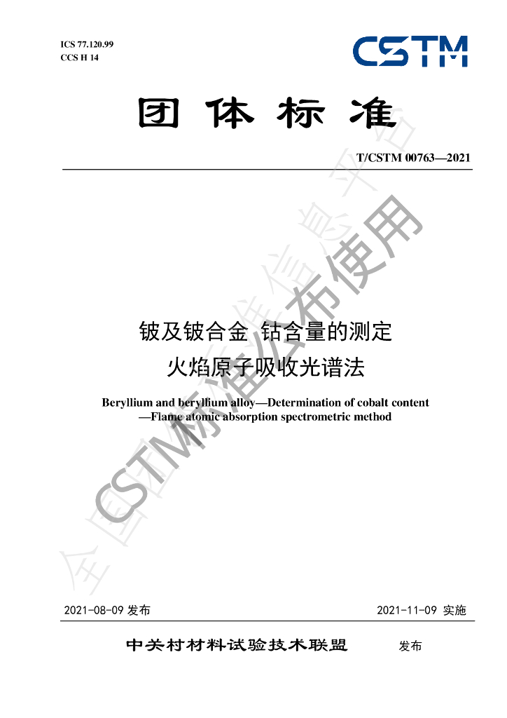 T/CSTM 00763-2021 标准预览