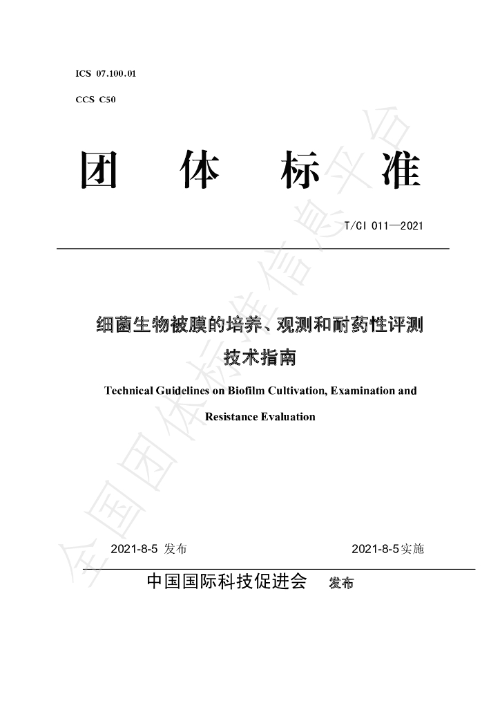 T/CI 011-2021 标准预览