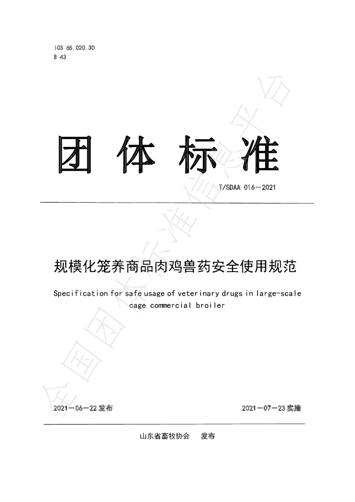 T/SDAA 016-2021 标准预览