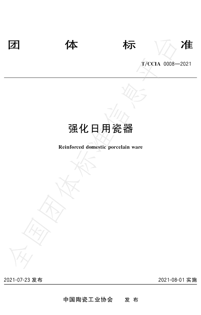 T/CCIA 0008-2021 标准预览