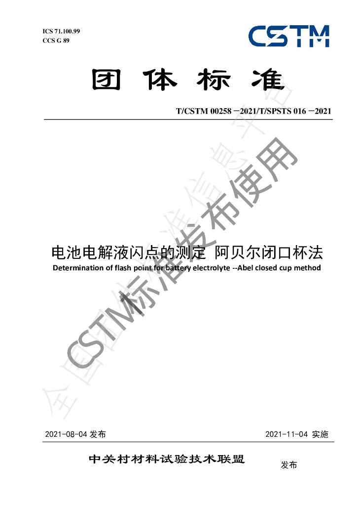 T/CSTM 00258-2021 标准预览