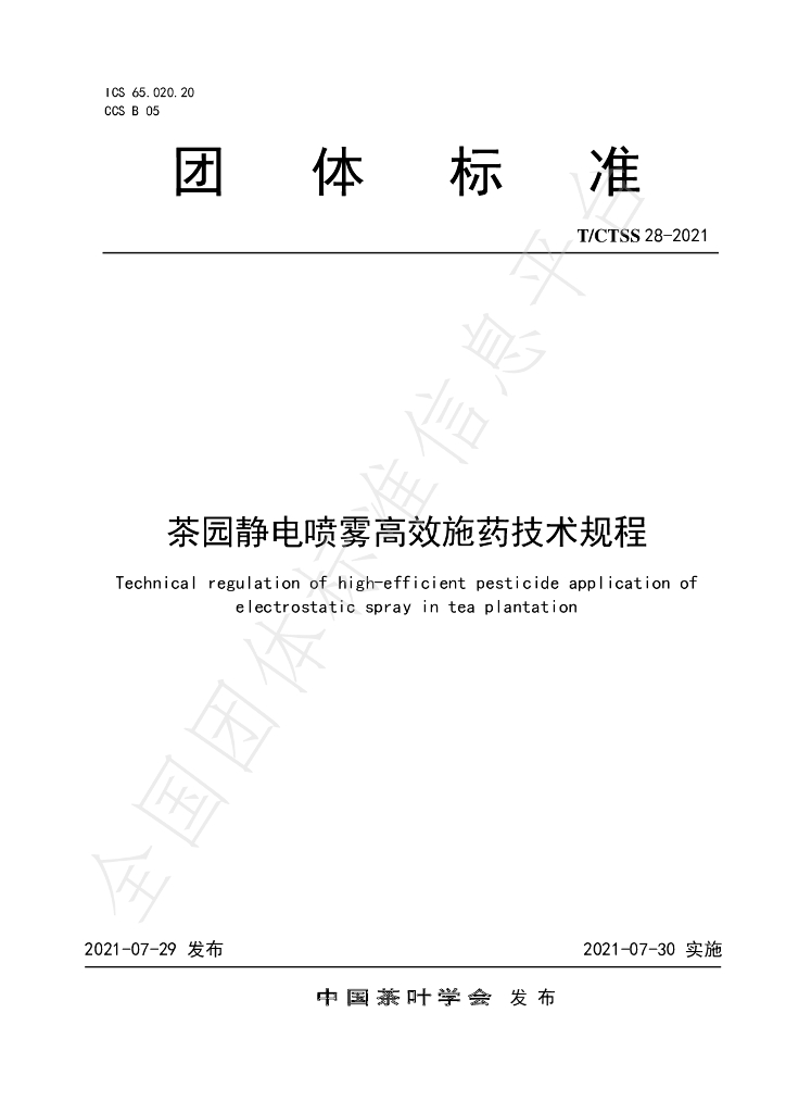 T/CTSS 28-2021 标准预览