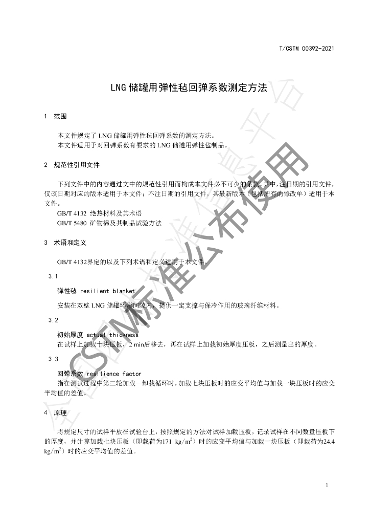 T/CSTM 00392-2021 标准预览