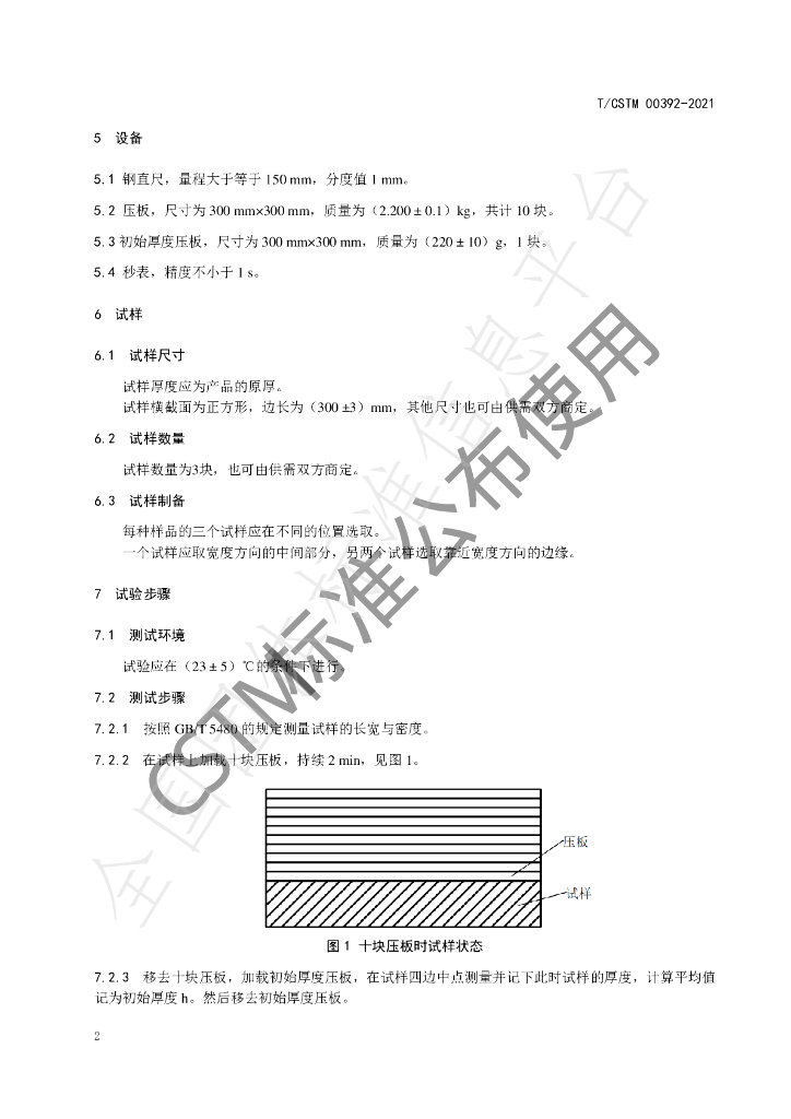 T/CSTM 00392-2021 标准预览
