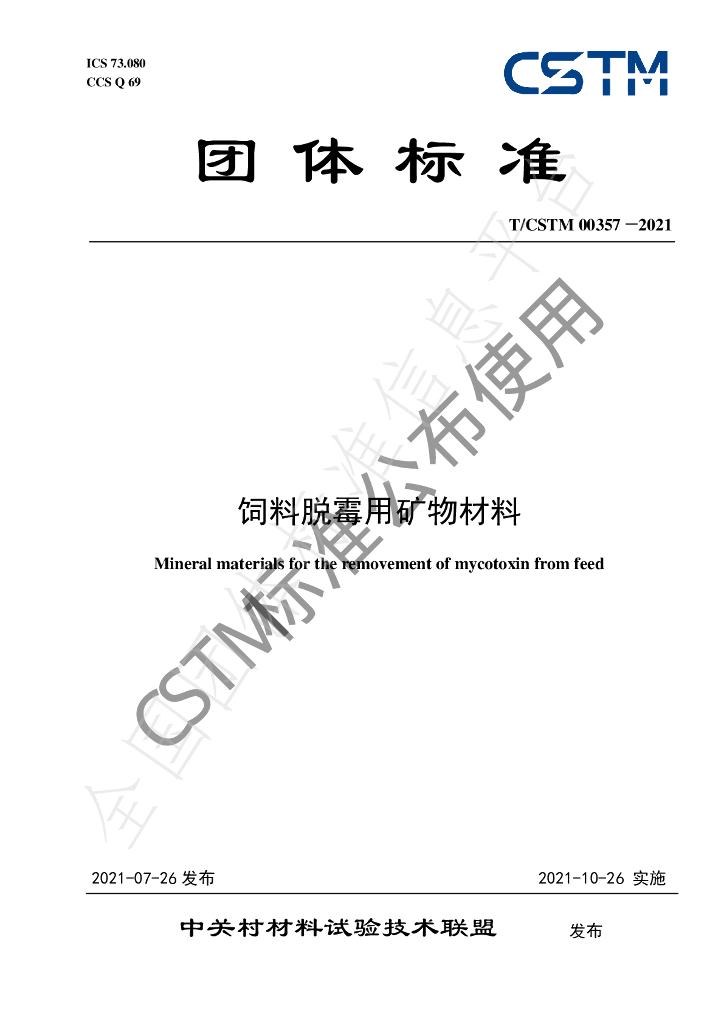 T/CSTM 00357-2021 标准预览