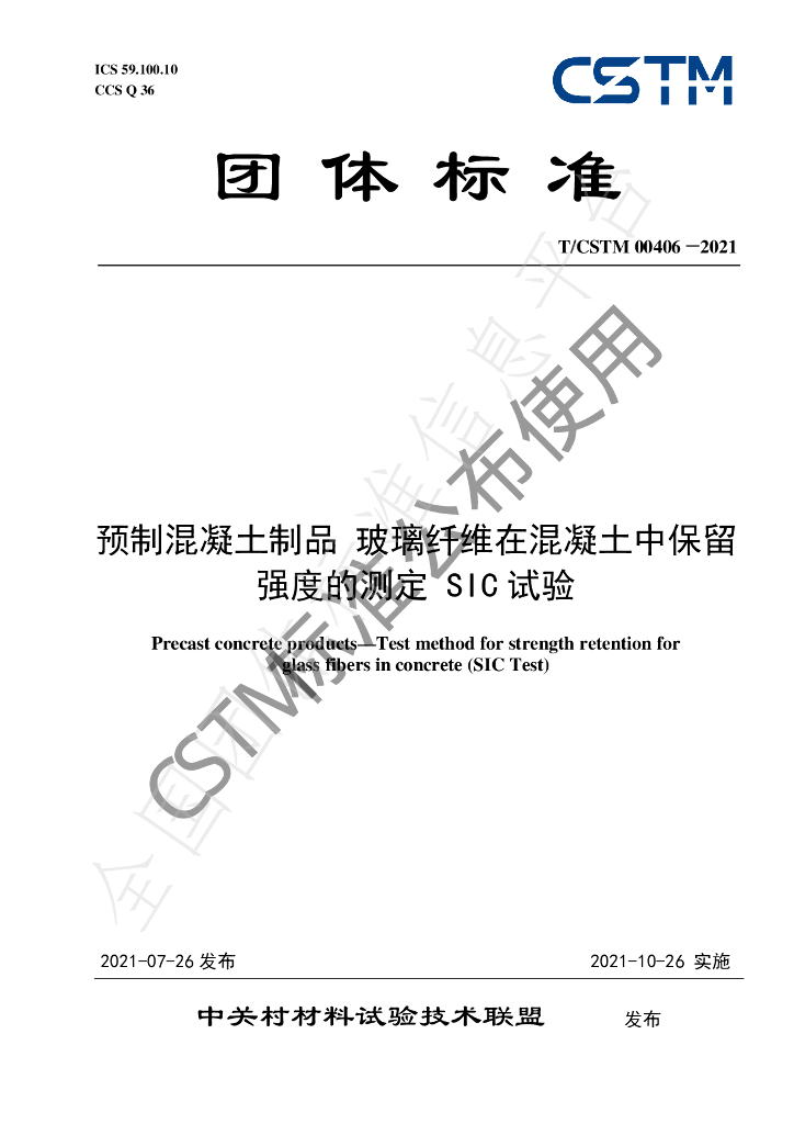 T/CSTM 00406-2021 标准预览