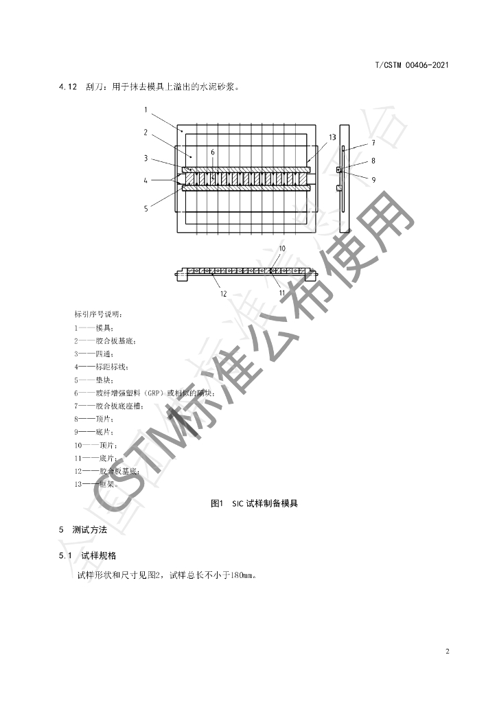T/CSTM 00406-2021 标准预览