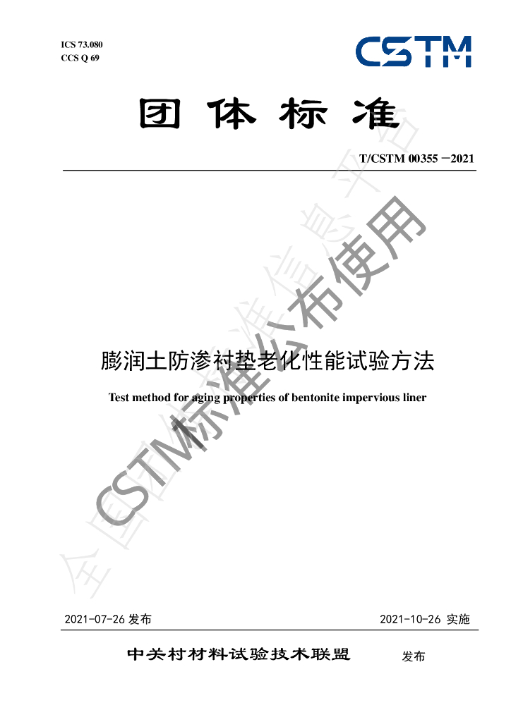 T/CSTM 00355-2021 标准预览