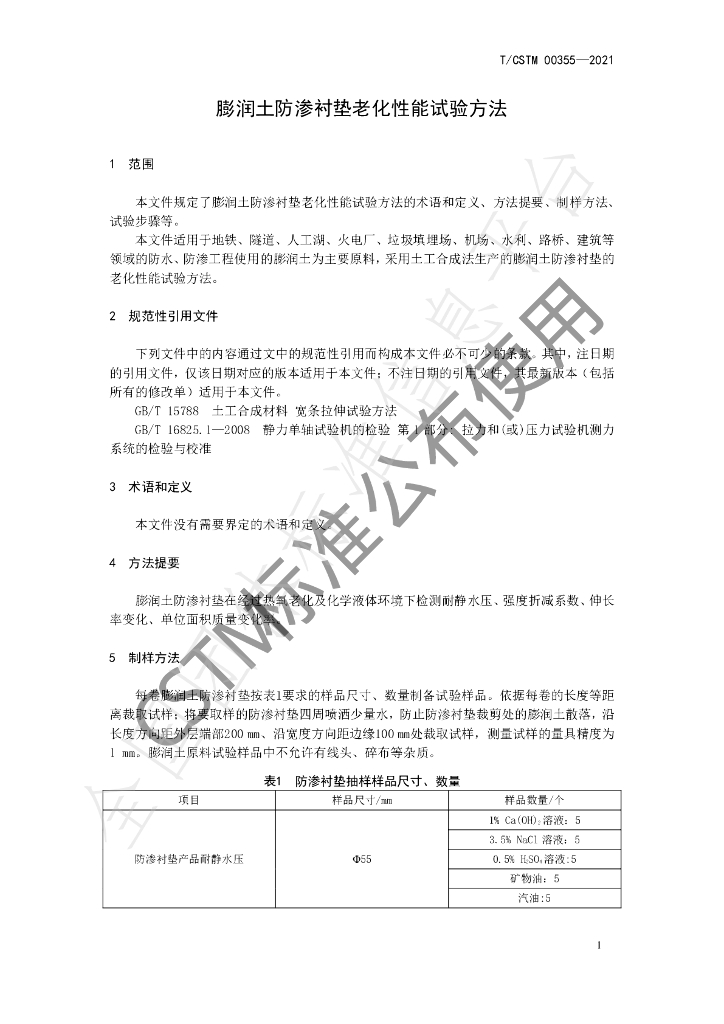 T/CSTM 00355-2021 标准预览
