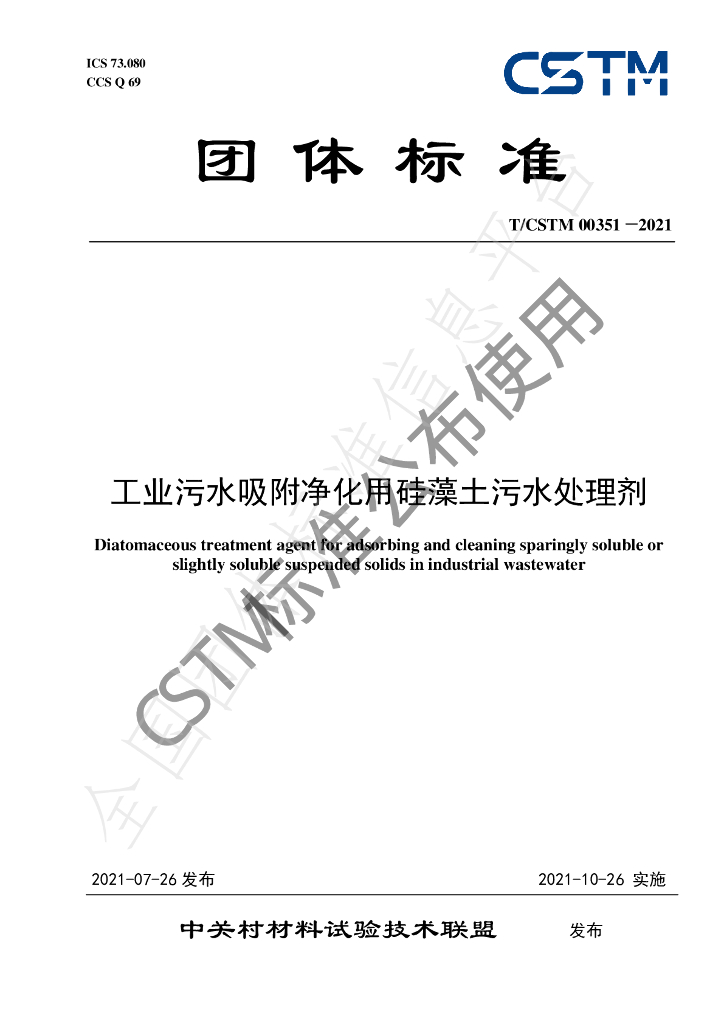 T/CSTM 00351-2021 标准预览