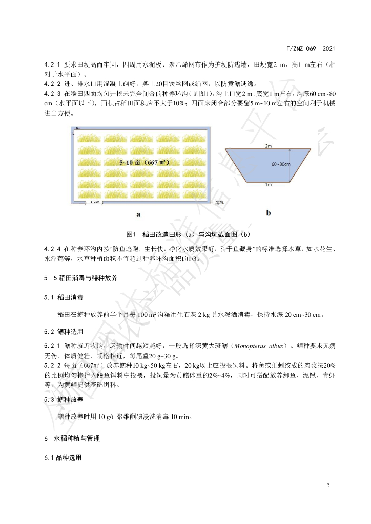 T/ZNZ 069-2021 标准预览