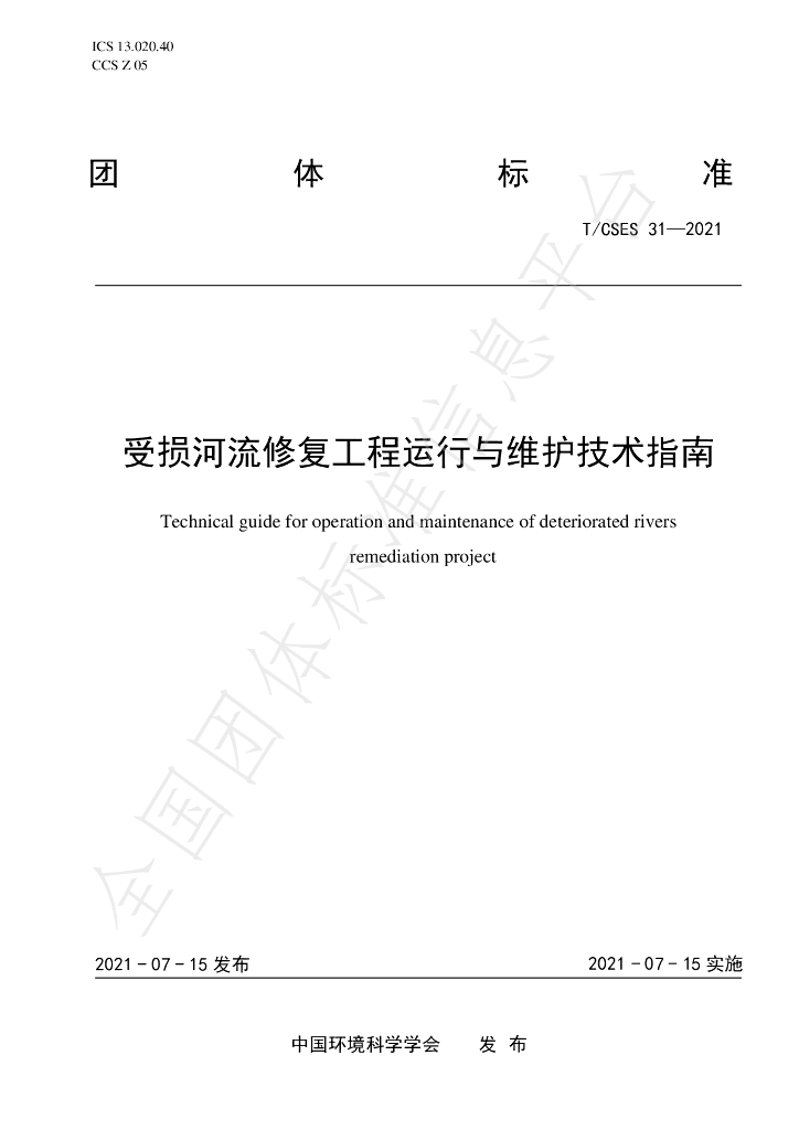T/CSES 31-2021 标准预览