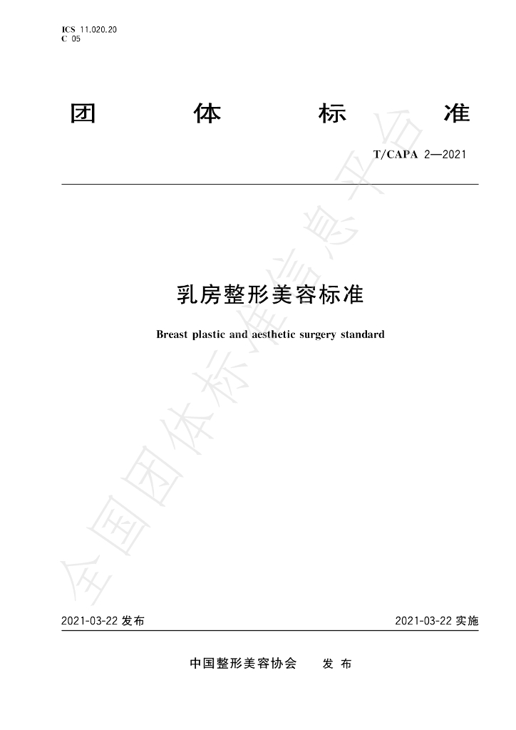 T/CAPA 2-2021 标准预览