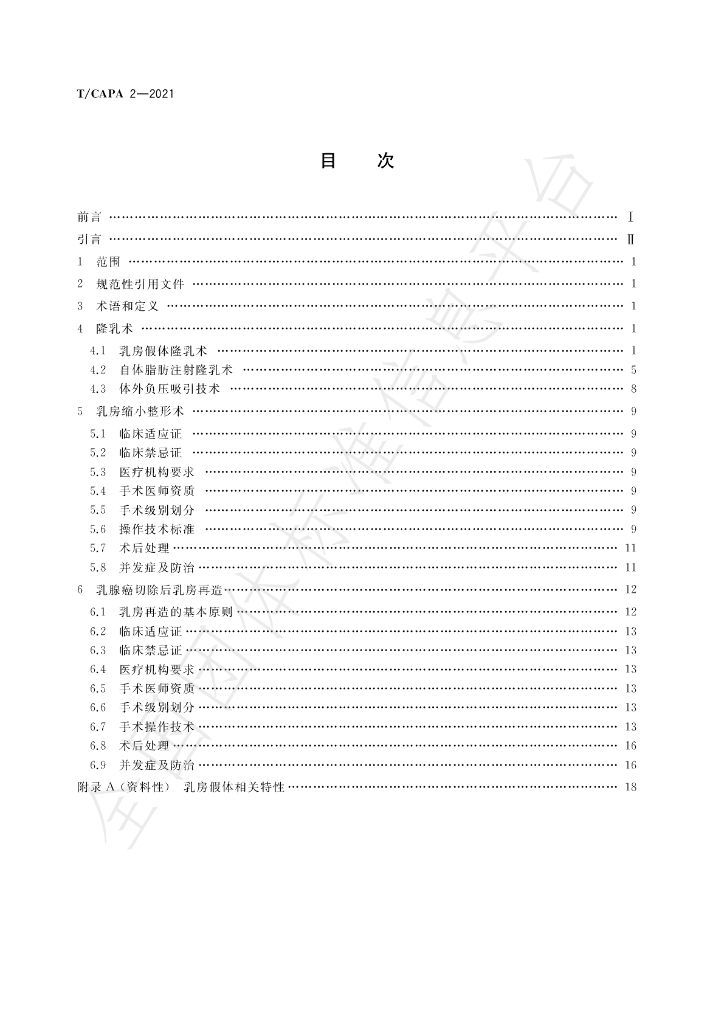 T/CAPA 2-2021 标准预览