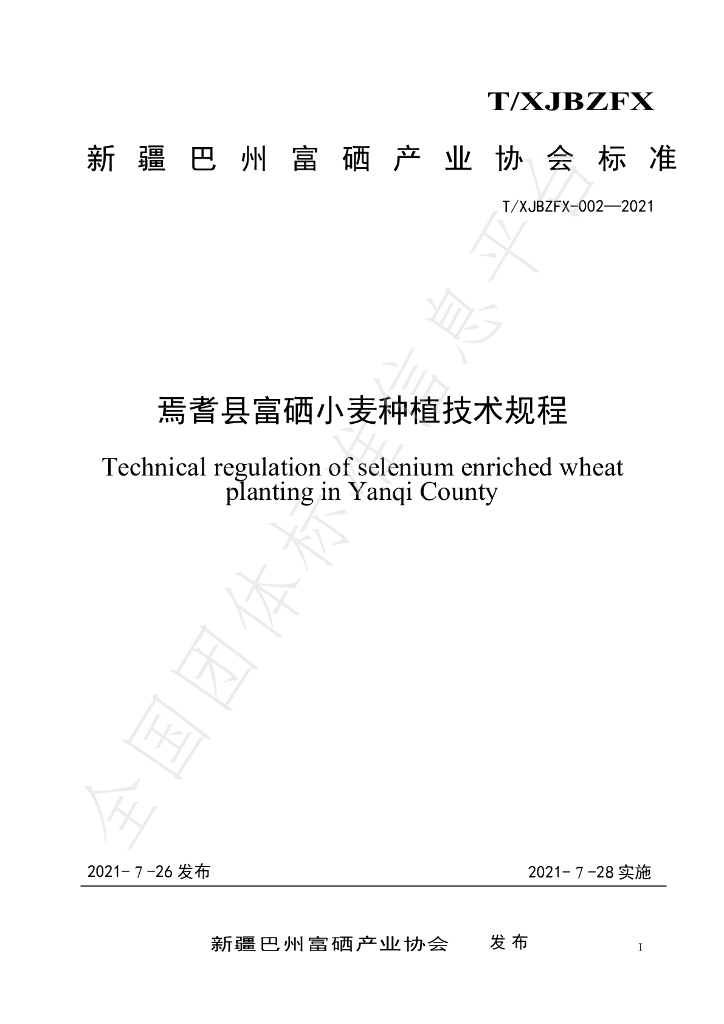 T/XJBZFX 002-2021 标准预览