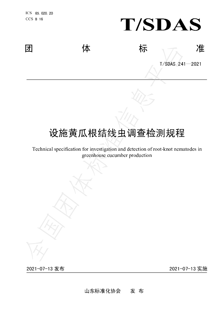 T/SDAS 241-2021 标准预览