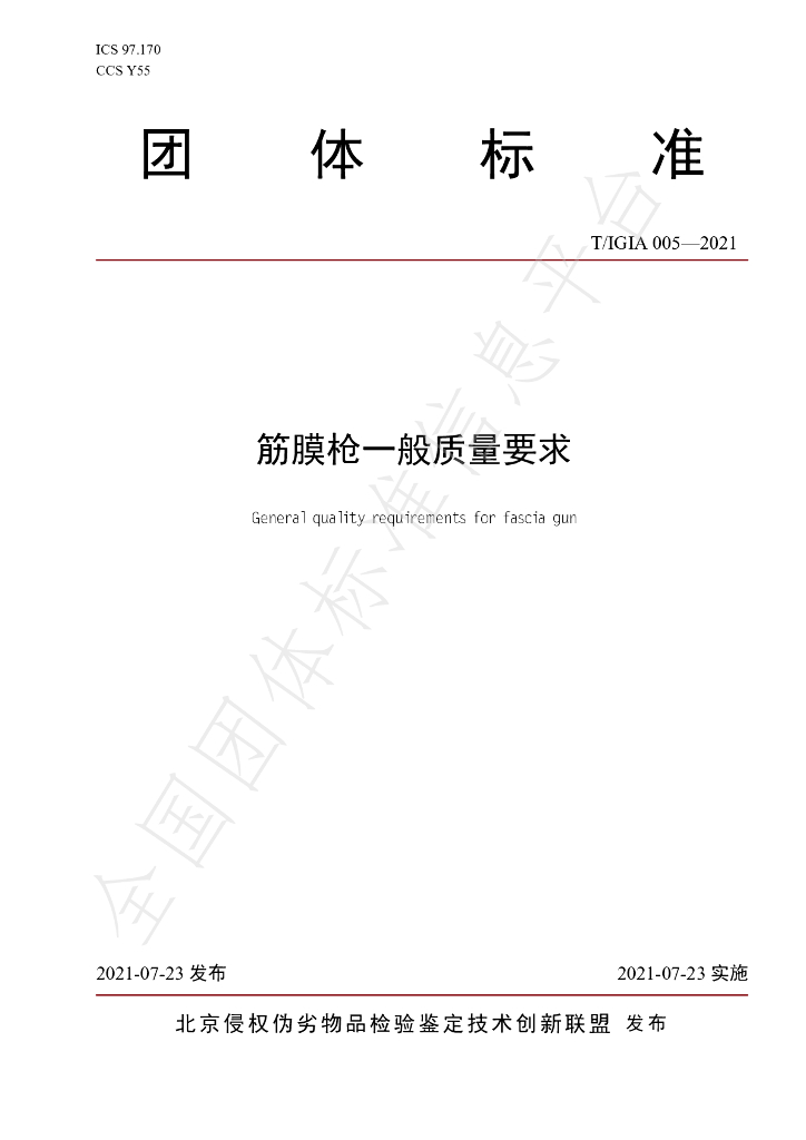 T/IGIA 005-2021 标准预览