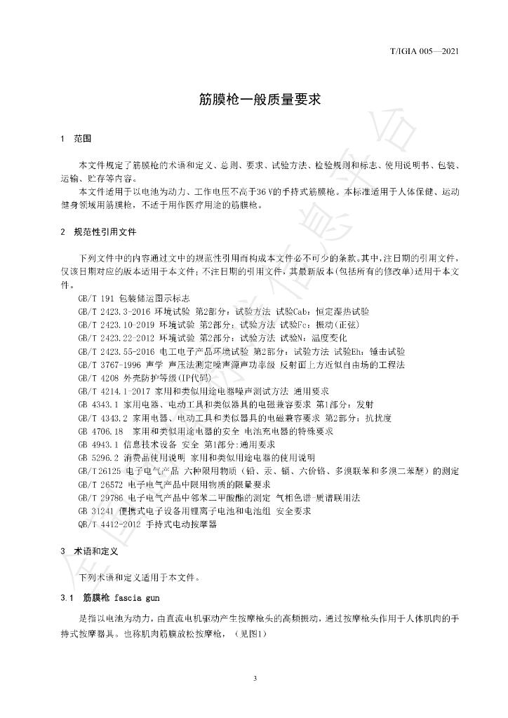 T/IGIA 005-2021 标准预览