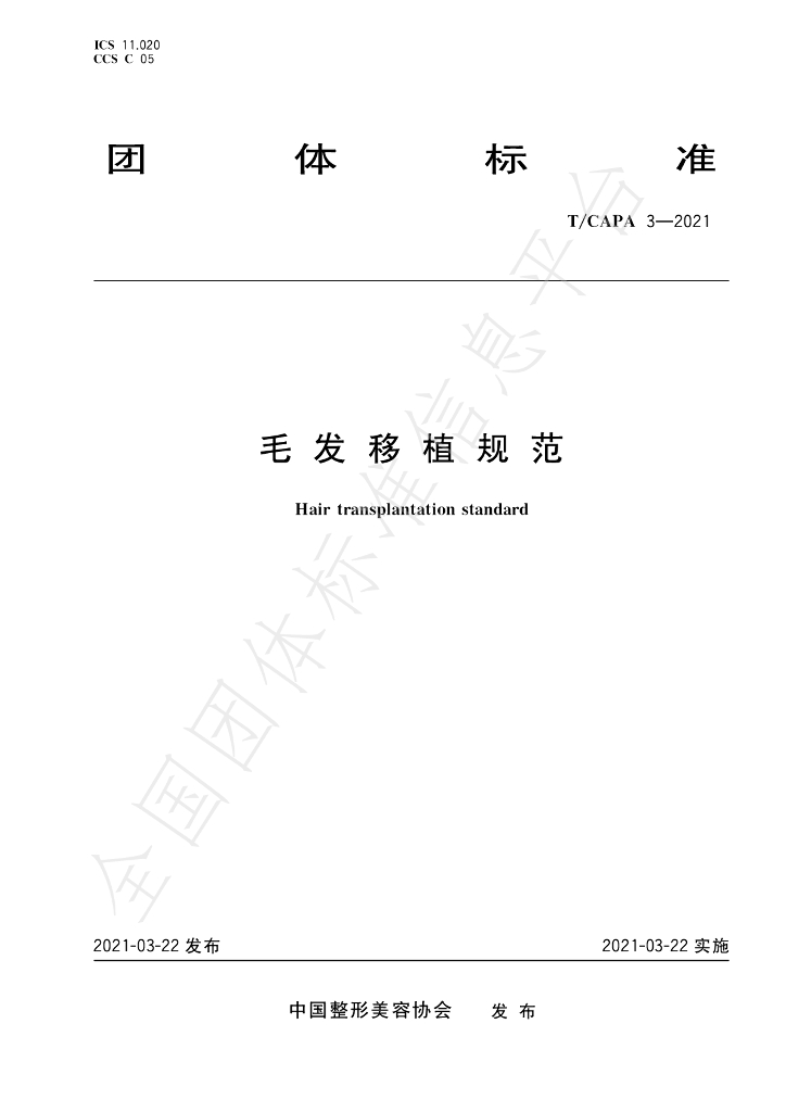 T/CAPA 3-2021 标准预览