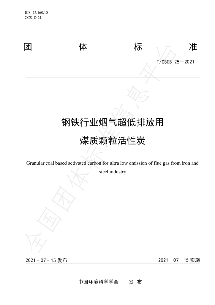 T/CSES 25-2021 标准预览