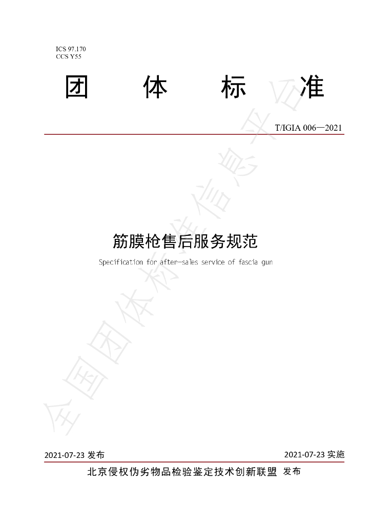 T/IGIA 006-2021 标准预览