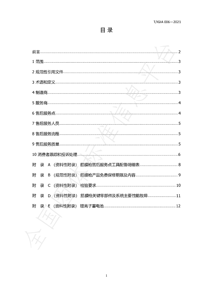 T/IGIA 006-2021 标准预览