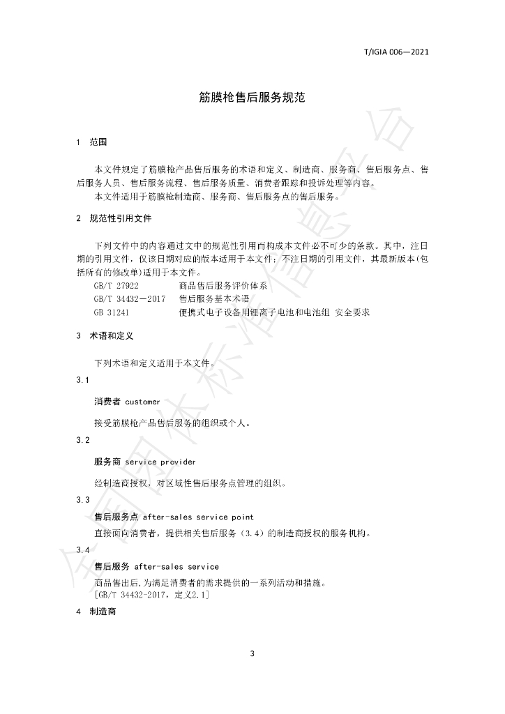 T/IGIA 006-2021 标准预览